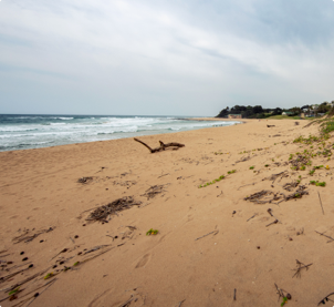 Sandy Shores