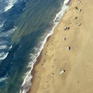 The Coastal Economy