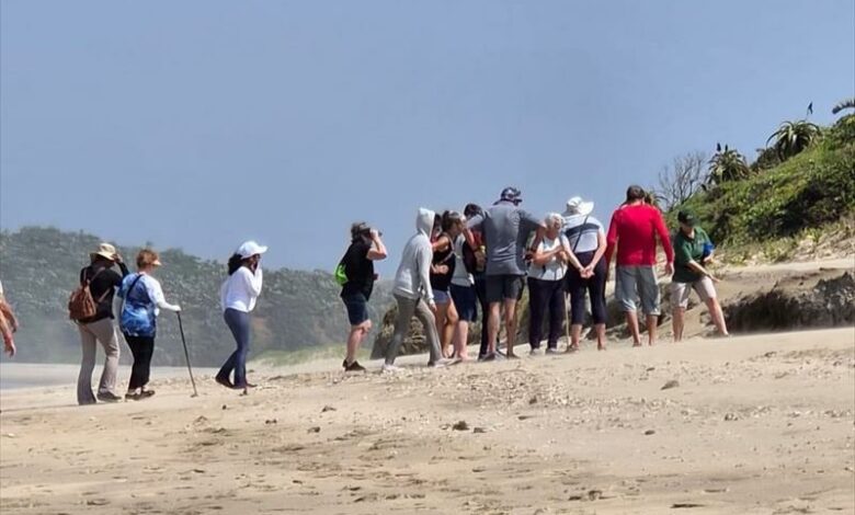 Mzamba Beach unearths fossil treasures